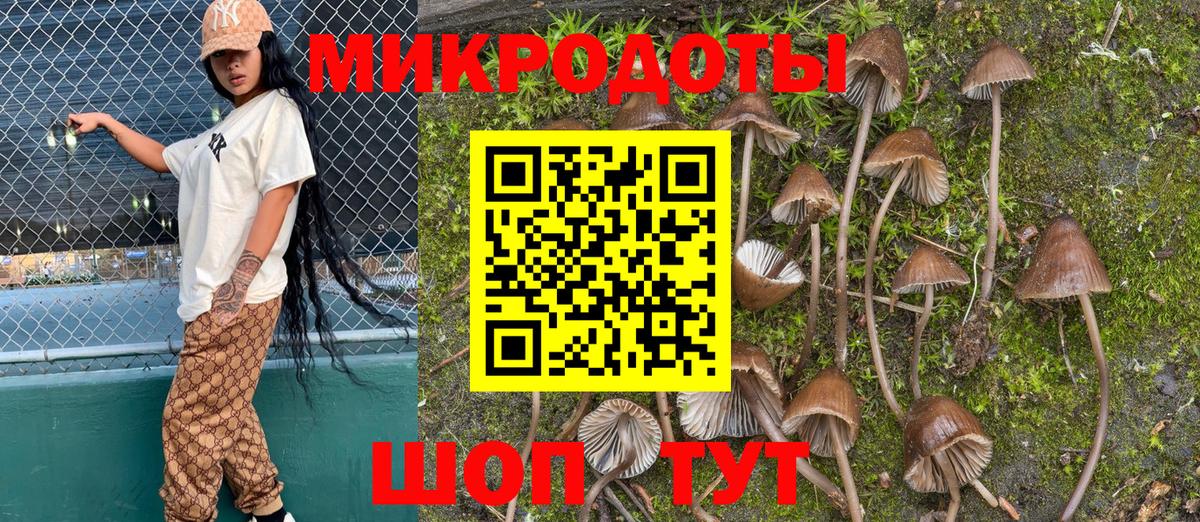 Псилоцибиновые грибы Magic Shrooms Еманжелинск