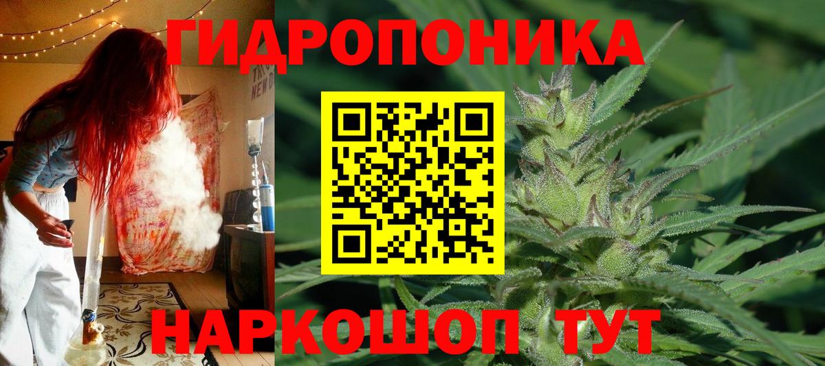Шишки марихуана White Widow Еманжелинск